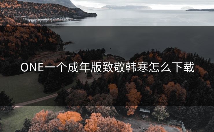 ONE一个成年版致敬韩寒怎么下载