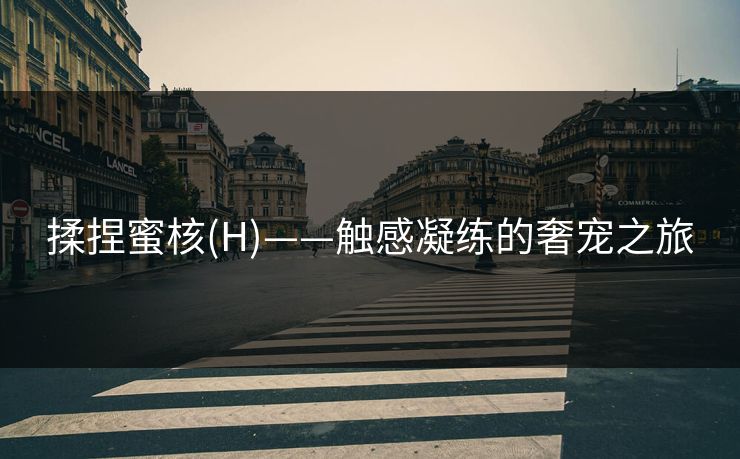 揉捏蜜核(H)——触感凝练的奢宠之旅