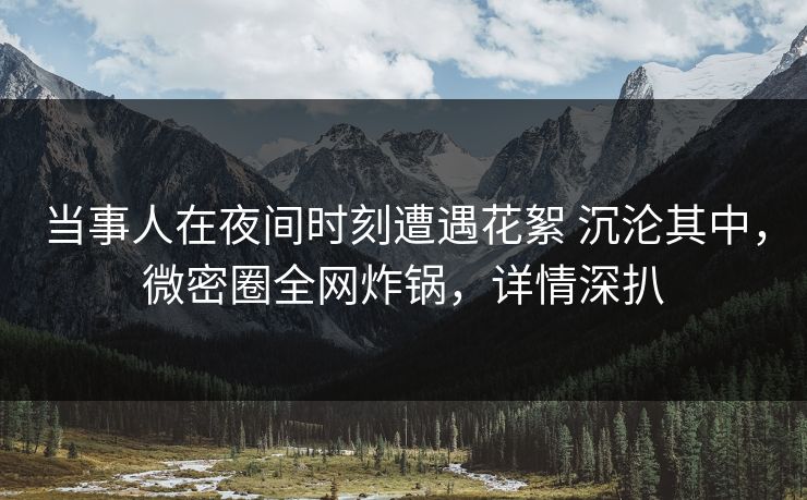 当事人在夜间时刻遭遇花絮 沉沦其中，微密圈全网炸锅，详情深扒