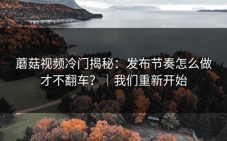 蘑菇视频冷门揭秘：发布节奏怎么做才不翻车？｜我们重新开始